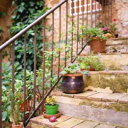 Antico Borgo Di Torri 3* Sovicille