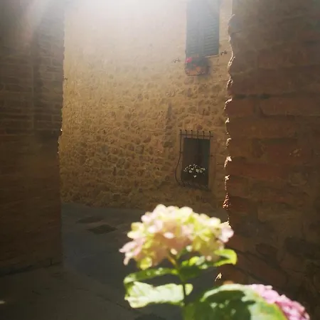 Antico Borgo Di Torri 3* Sovicille