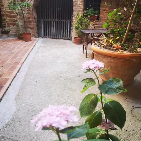 Antico Borgo Di Torri Sovicille