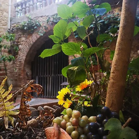 Bed & Breakfast Antico Borgo Di Torri 3*