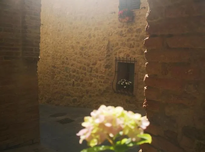 Antico Borgo Di Torri 3* Sovicille
