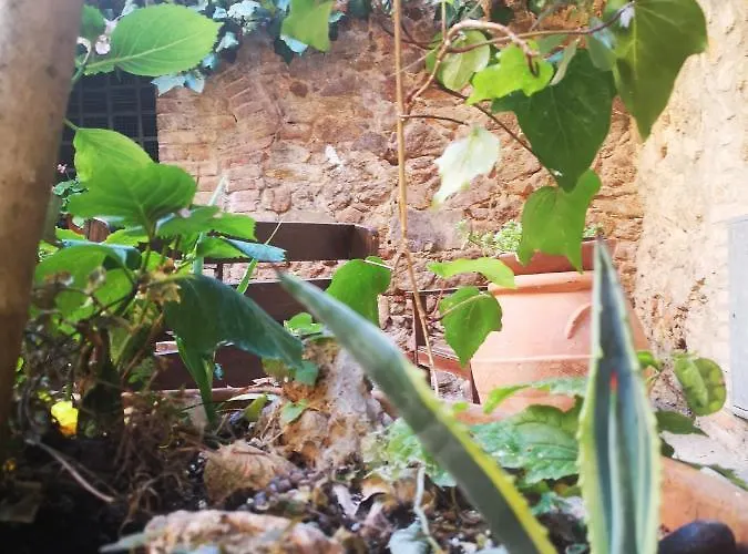 Antico Borgo Di Torri Panzió 3*